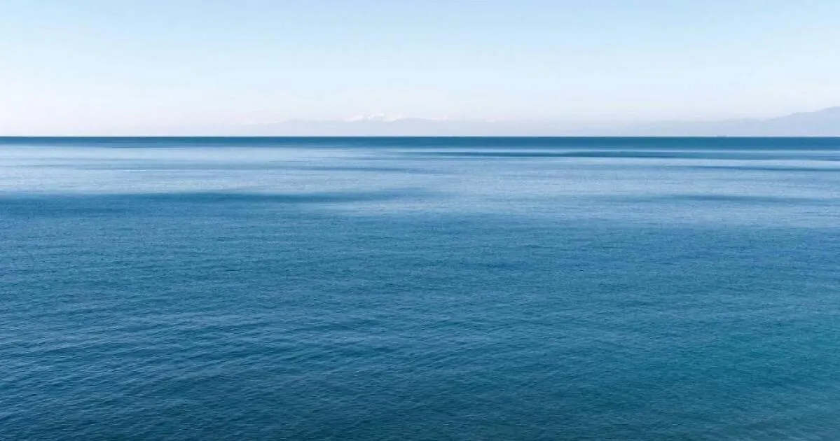 Comfortable Apartment In Batumi 0*,